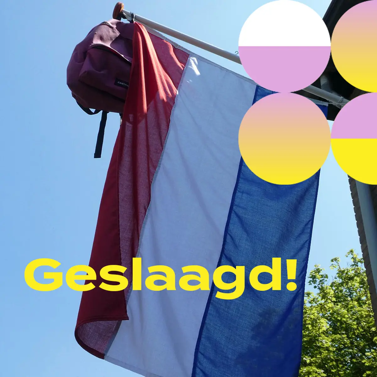 Geslaagd